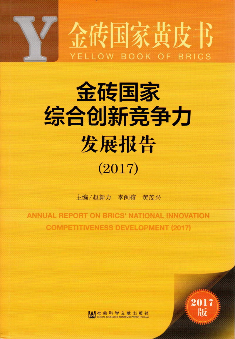 我想看黄色日逼视频金砖国家综合创新竞争力发展报告（2017）